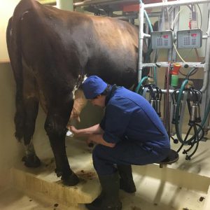 revestimientos de resinas 3